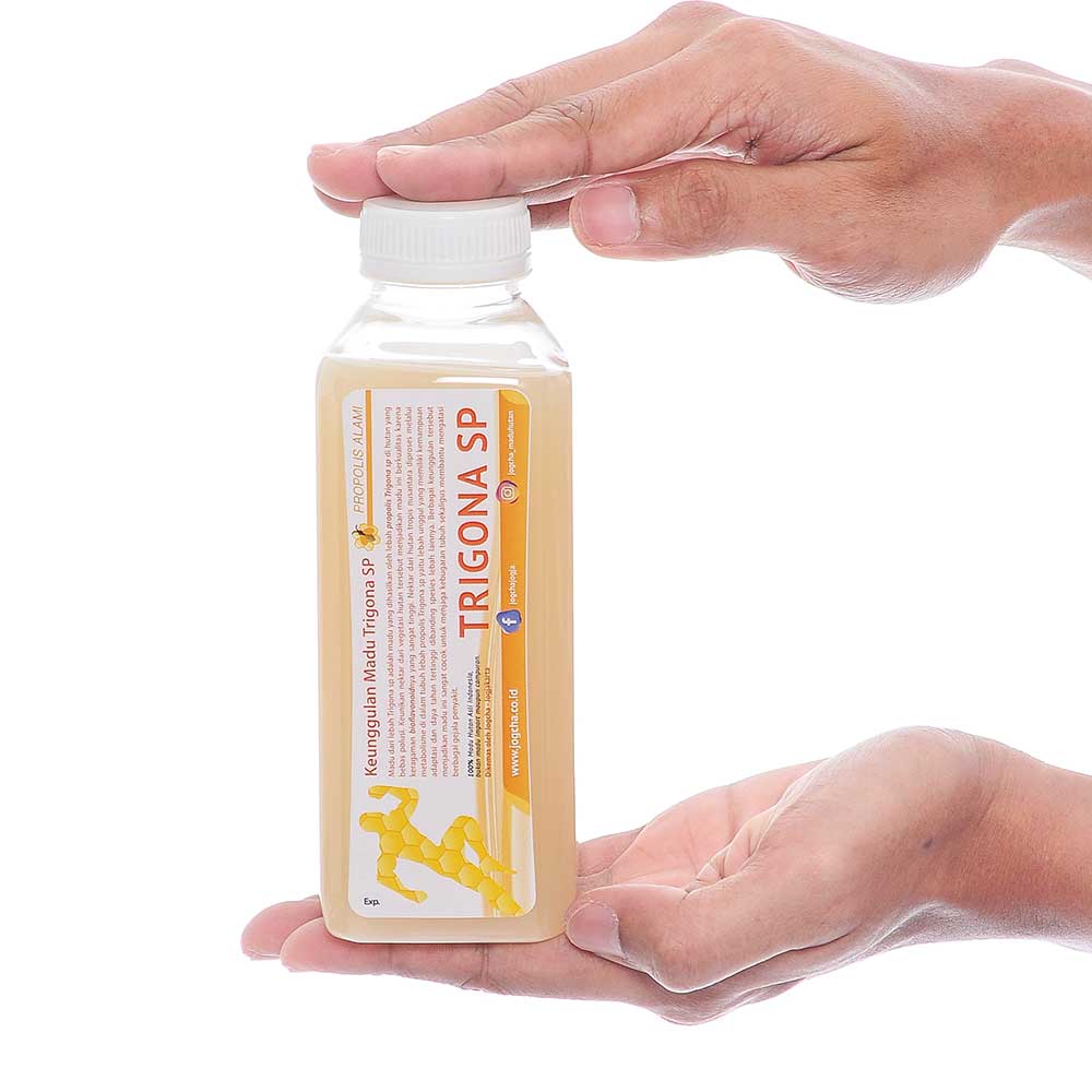 jual madu trigona sp